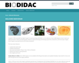 BIODIDAC