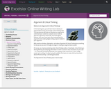 Argument & Critical Thinking