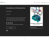 Foundations of Neuroscience